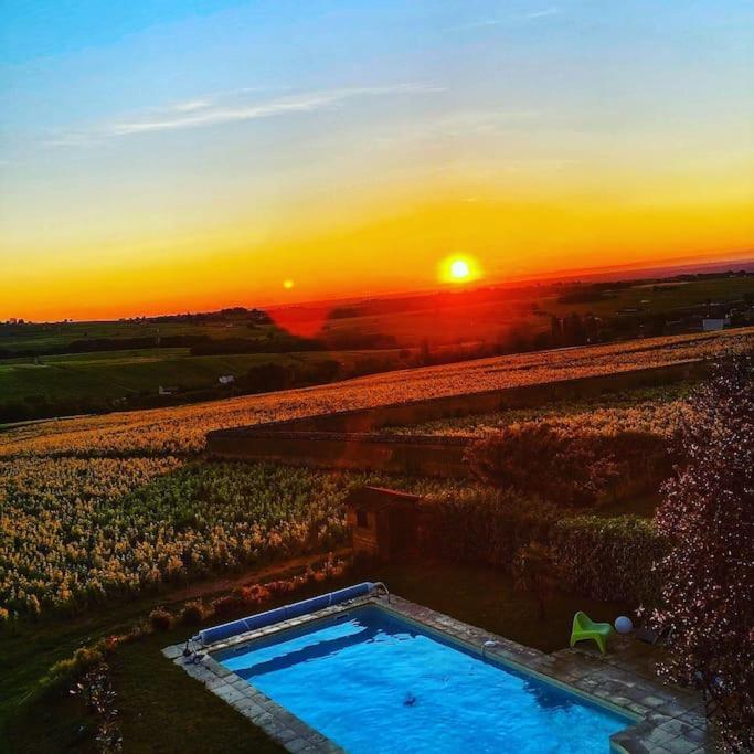 Au Coeur Des Vignes Moulin A Vent Lägenhet La Chapelle-de-Guinchay Exteriör bild