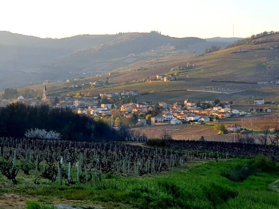 Au Coeur Des Vignes Moulin A Vent Lägenhet La Chapelle-de-Guinchay Exteriör bild